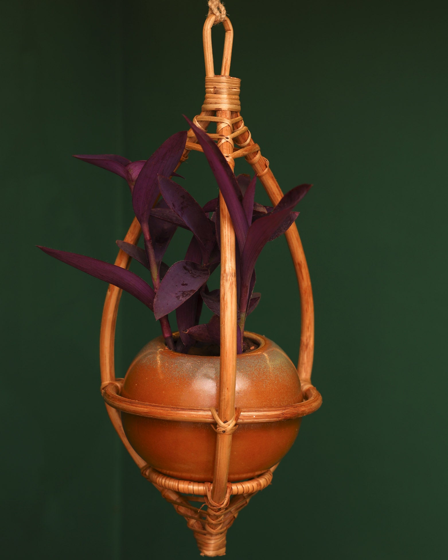 Kopal Hanging Planter