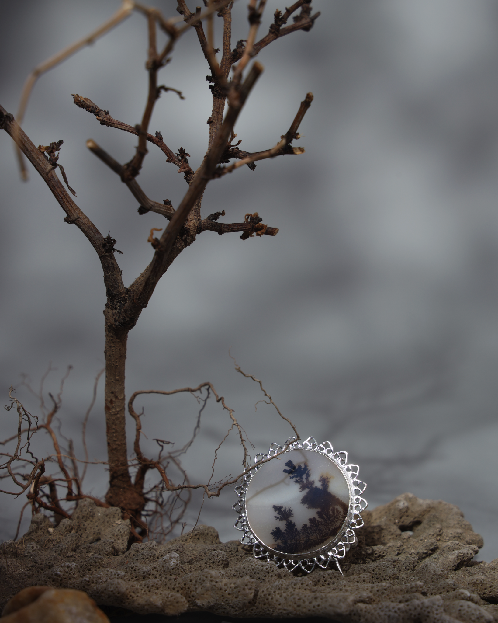 Dendritic agate, Fossilized algae, Ken river, Bundelkhand