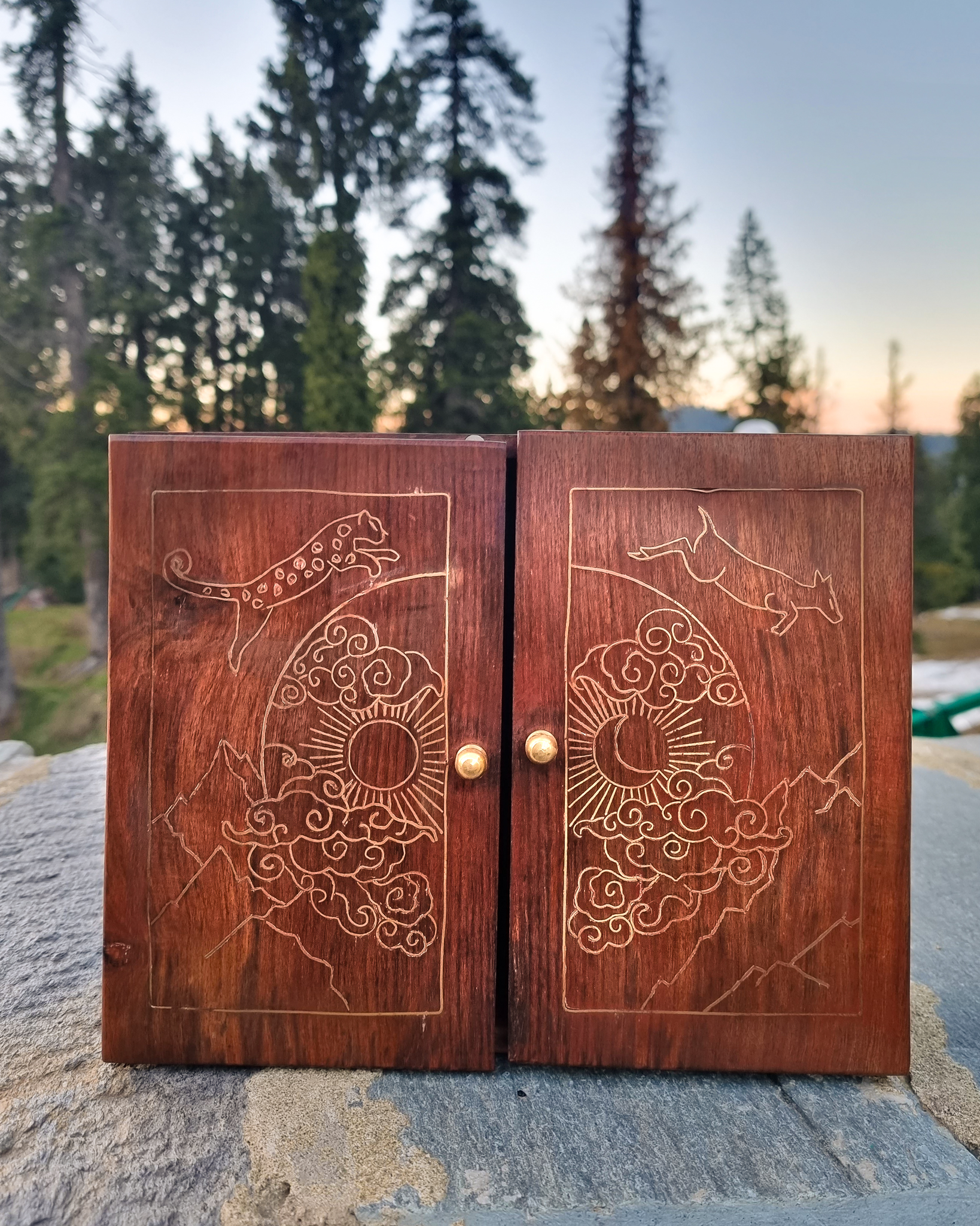 Day and Night Box