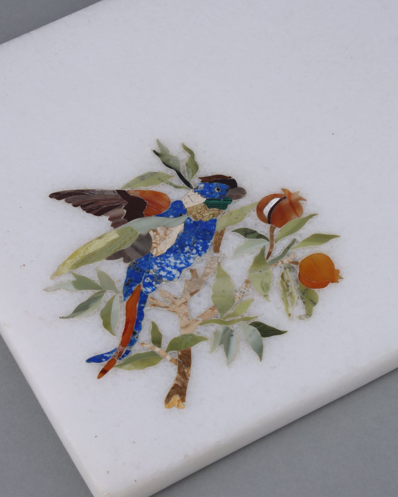 Macaw Cheese Platter