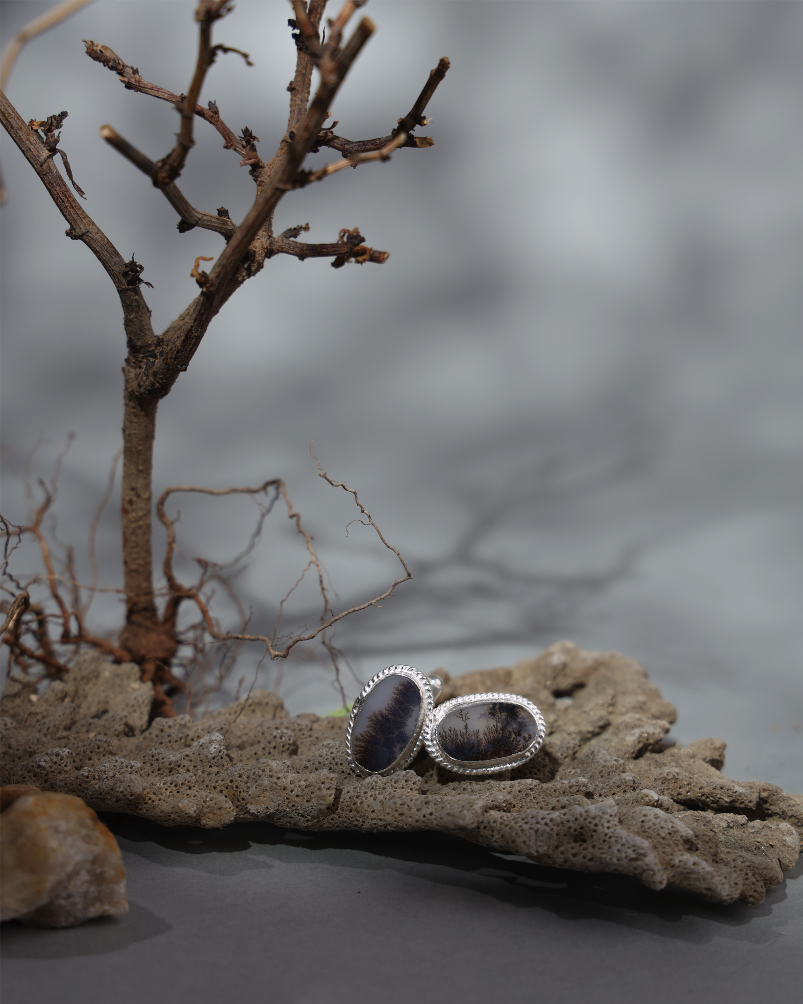 Dendritic agate, fossil cufflinks