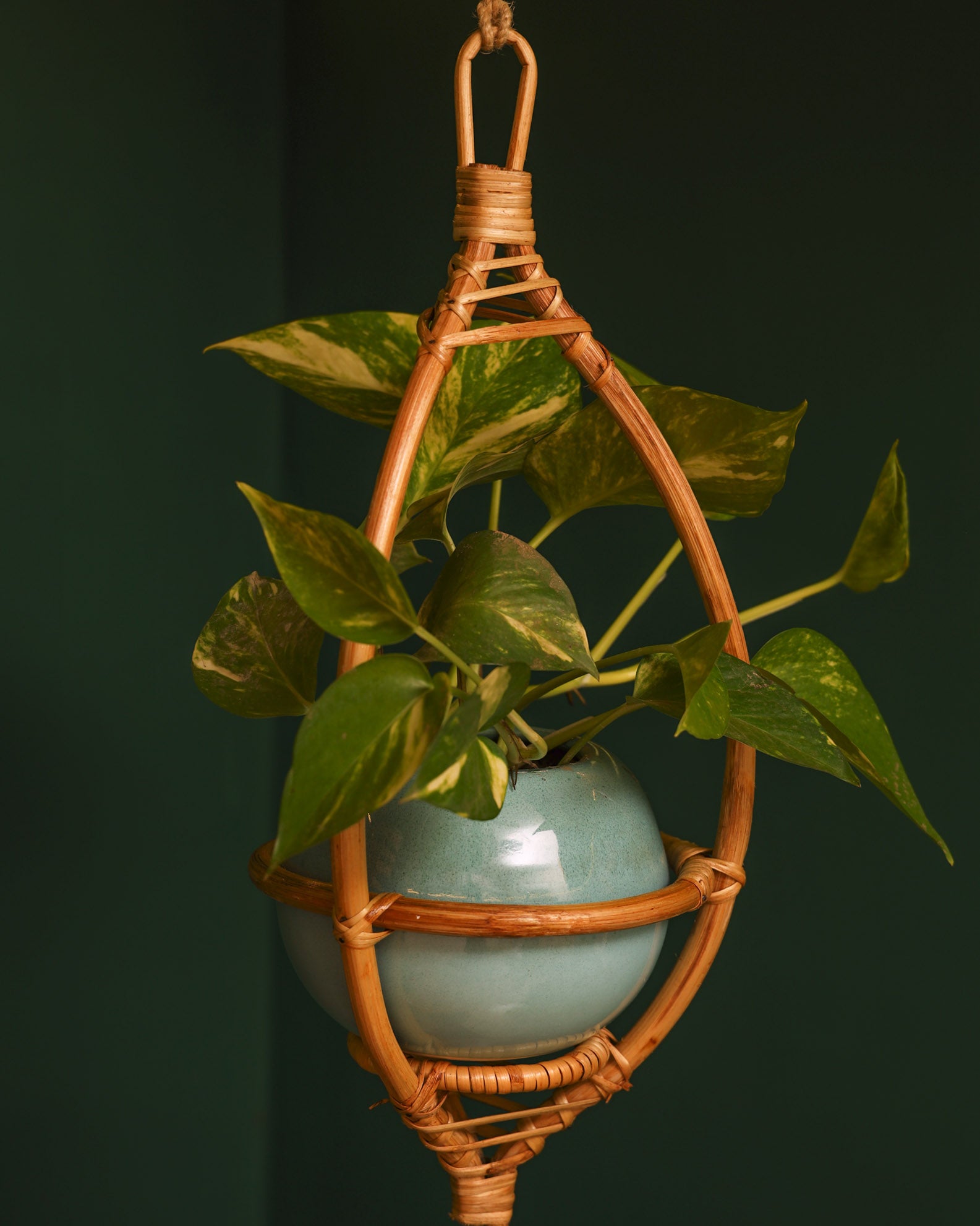 Kopal Hanging Planter
