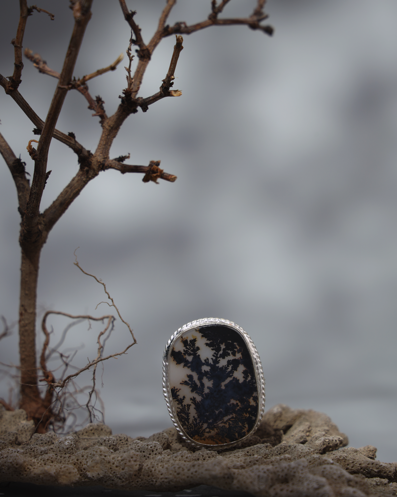 Dendritic agate, Fossilized algae, Ken river, Bundelkhand
