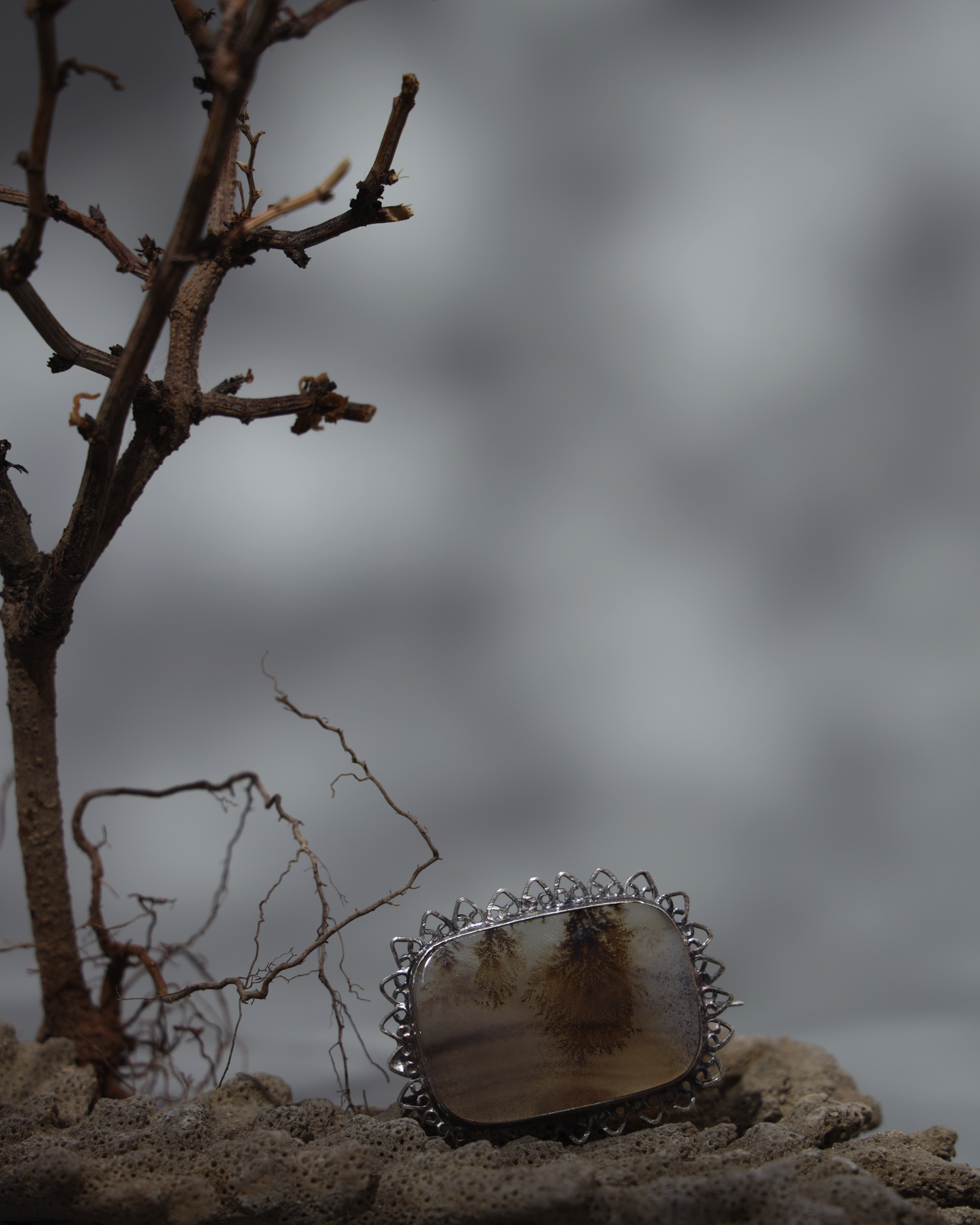 Dendritic agate, Fossilized algae, Ken river, Bundelkhand