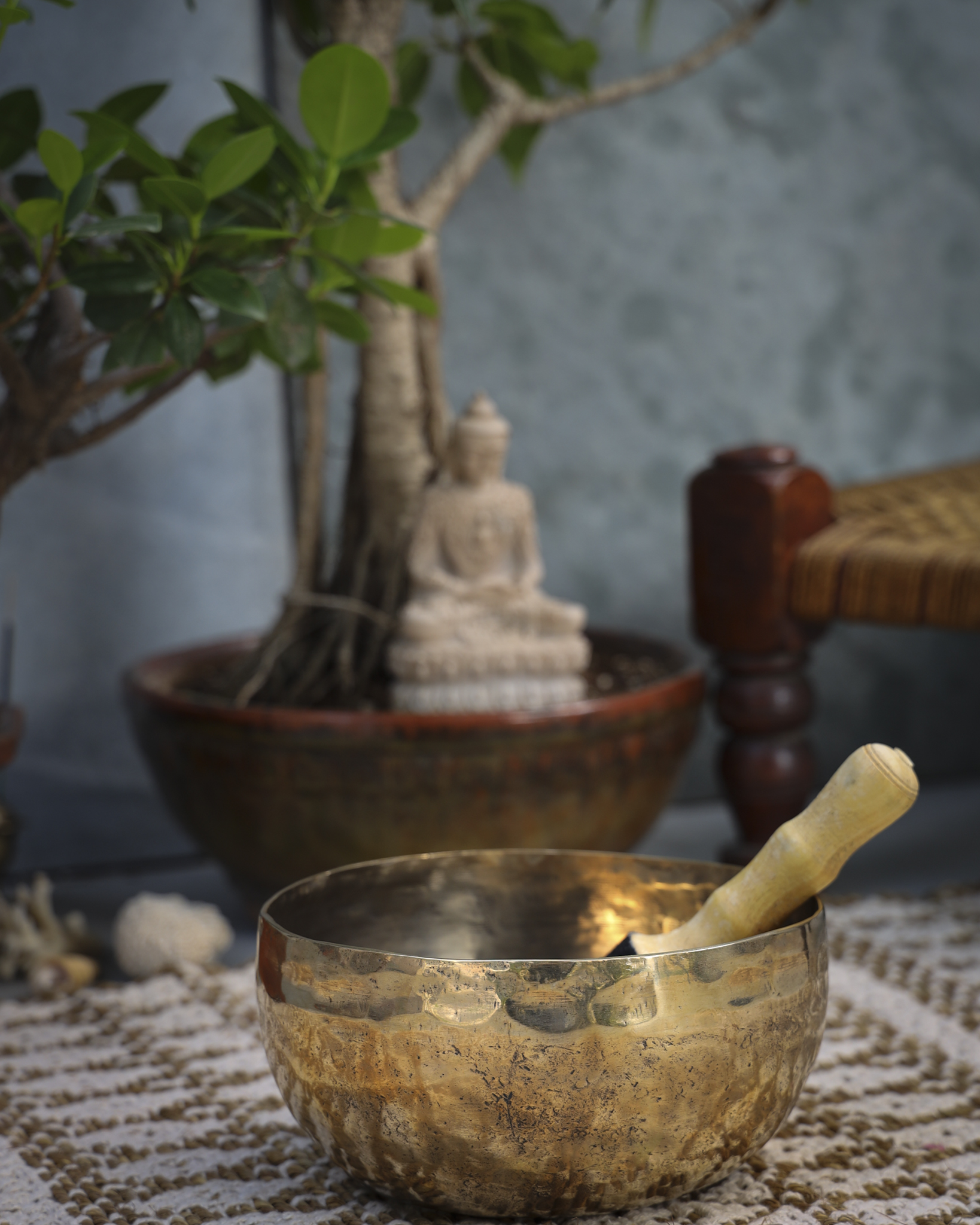 Ekaant Singing Bowl